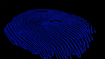 Fingerprint