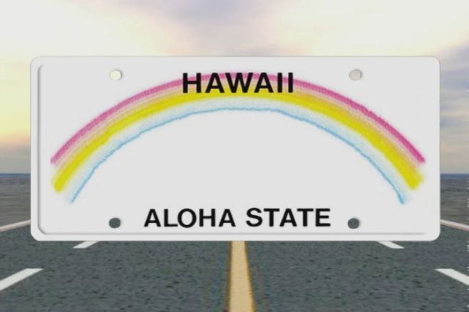 Blank Hawaii License Plate
