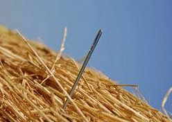 needle_in_the_haystack
