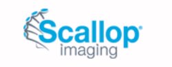 scallop_logo