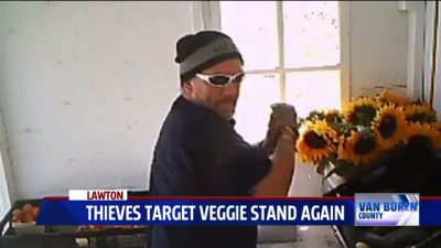 Farmer catches thieves stealing from produce stand on camera