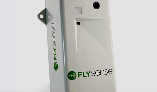 FlySense