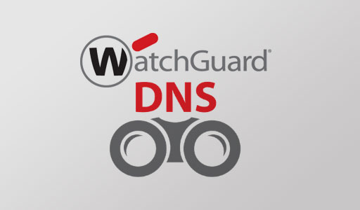 DNS-WatchGuard-Go